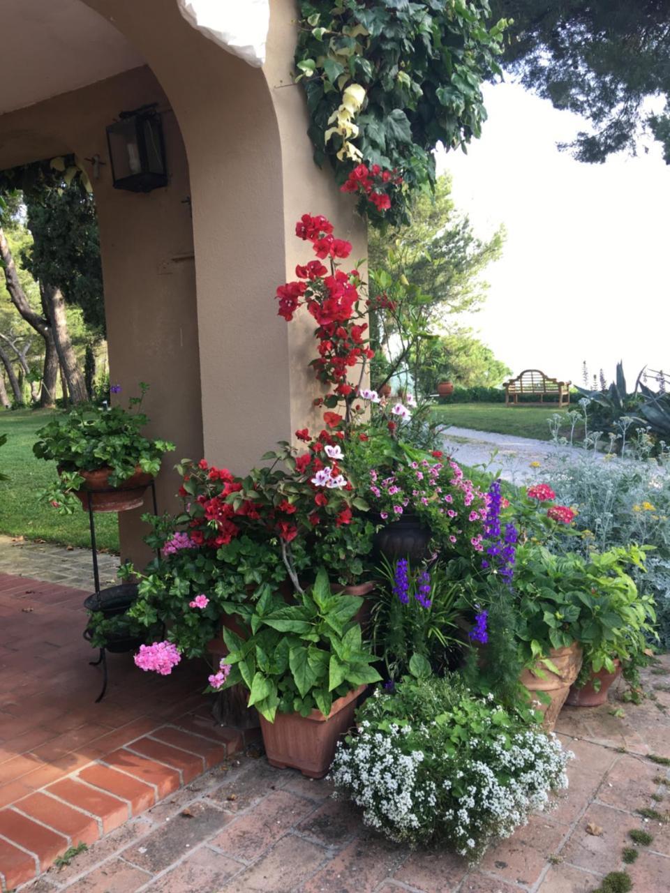 Il Colle Delle Terrazze Hotel Fano Buitenkant foto