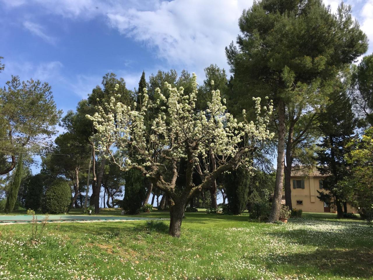 Il Colle Delle Terrazze Hotel Fano Buitenkant foto